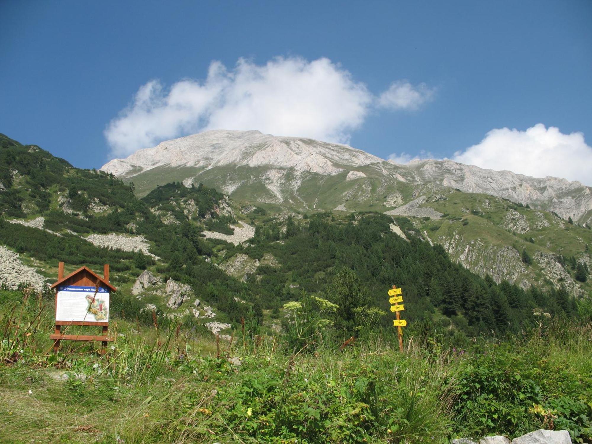 Hotel Dumanov Bansko Exterior photo